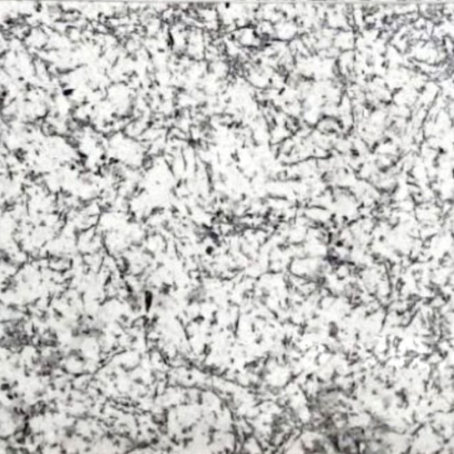 Nova White Granite – Elegant Natural Stone by Maharana Granites