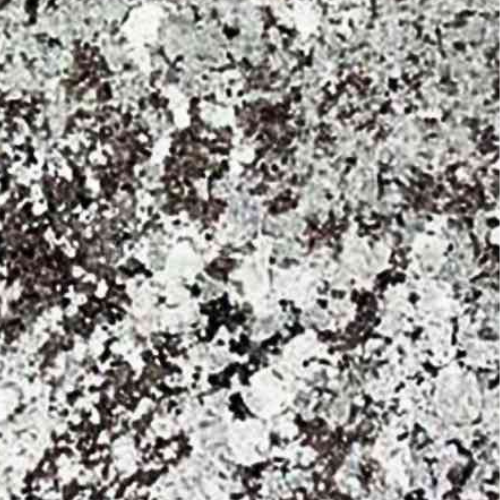 Premium Alaska Grey Granite from Maharana Granites